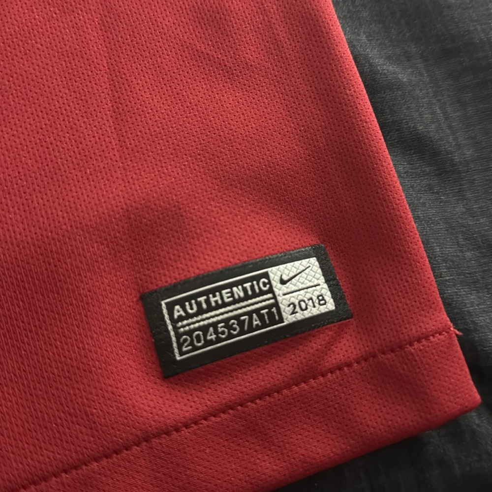 Portugal 🇵🇹 #7 Cristiano Ronaldo 2018 FIFA World Cup Home Nike Jersey - Picture 5 of 8